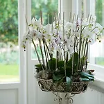 Signau House & Garden Boutique 4* Цюрих
