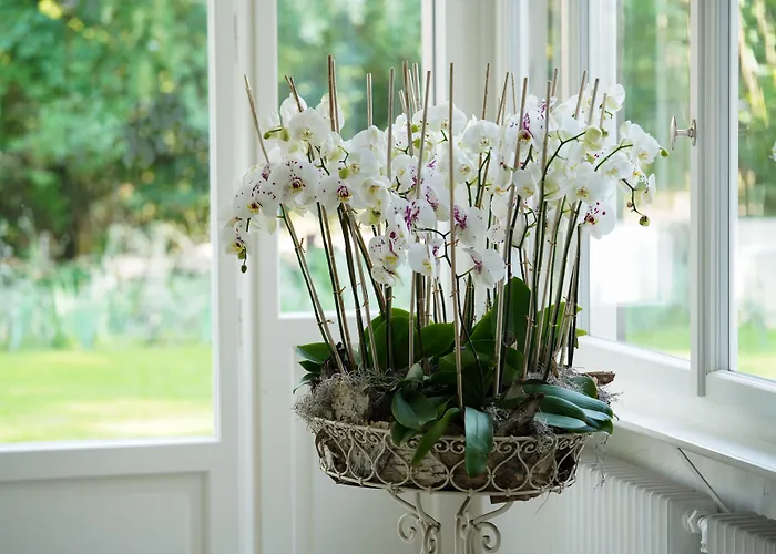 Signau House & Garden Boutique 4* زيورخ