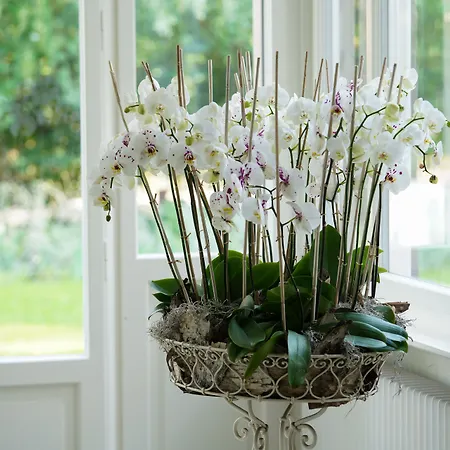 Signau House & Garden Boutique 4* Zürih